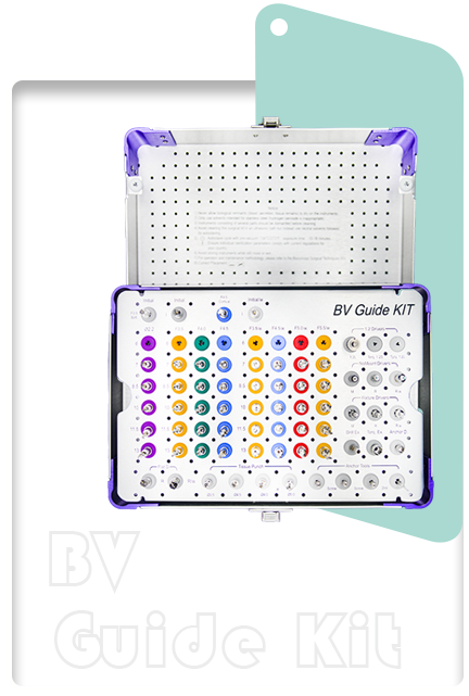 BV Digital Solutions